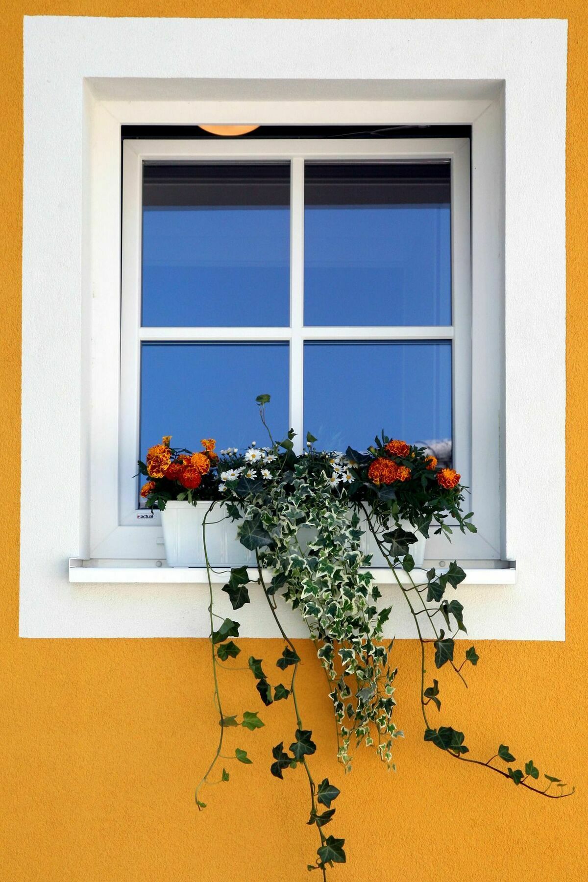 Apartments Ante Portas Salzburg Ngoại thất bức ảnh